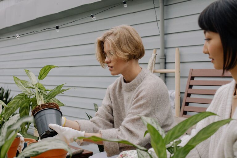 Tips for Creating a Sustainable Garden at Home